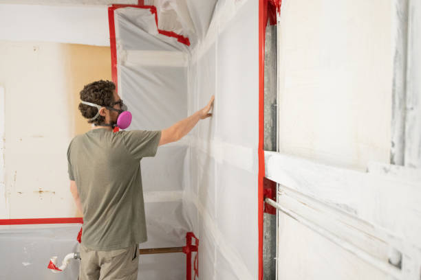 Best Industrial Mold Remediation  in Hays, MT