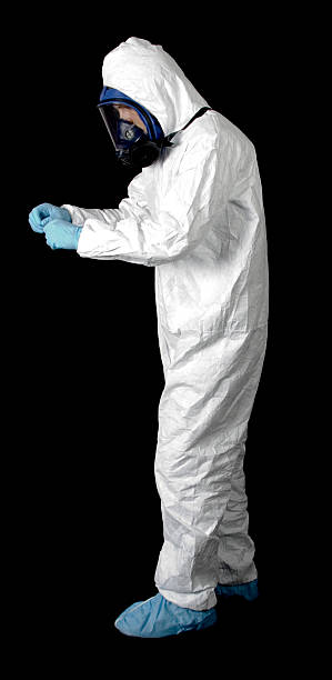 Best Black Mold Removal  in Hays, MT